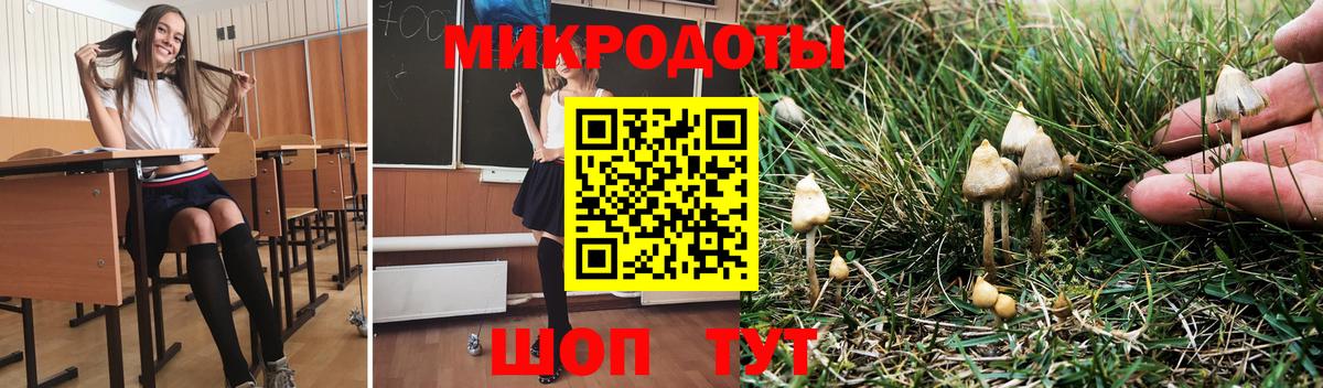Галлюциногенные грибы Cubensis Вольск