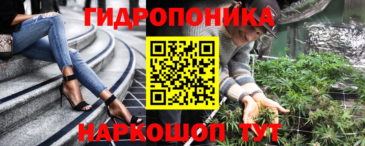 Вольск  Марихуана Bruce Banner  Вход с VPN  Конопля гибрид  МАРИХУАНА марихуана 